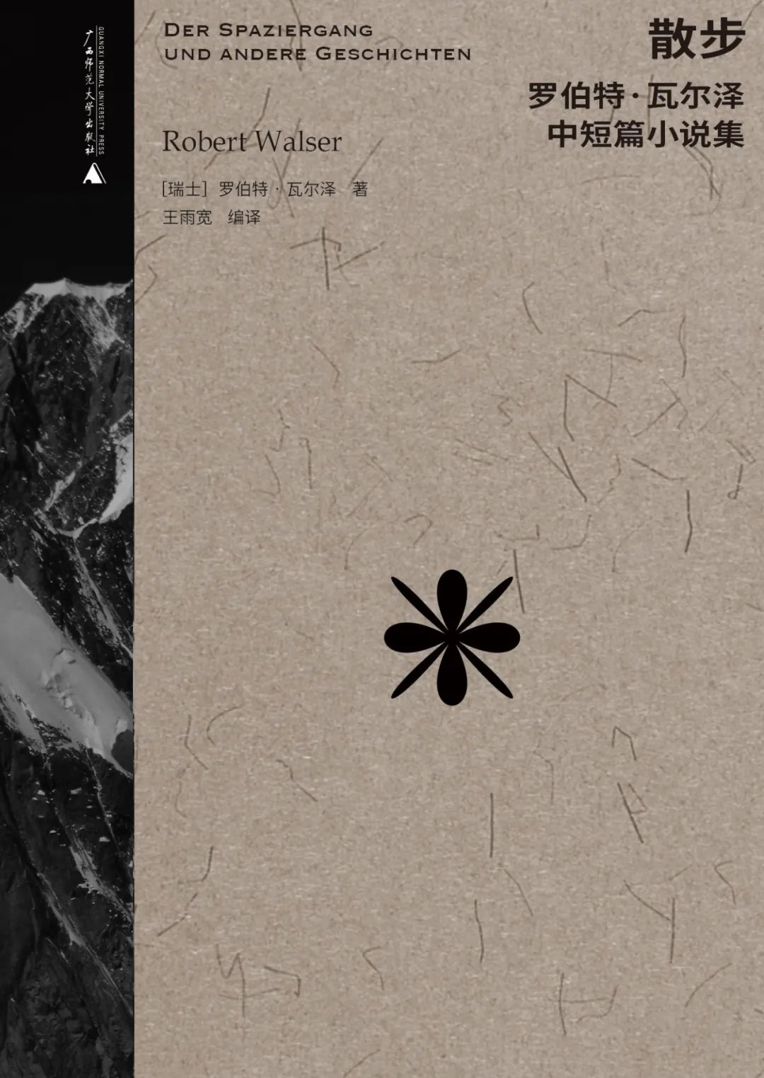 散步 - 书籍网盘资源预览图