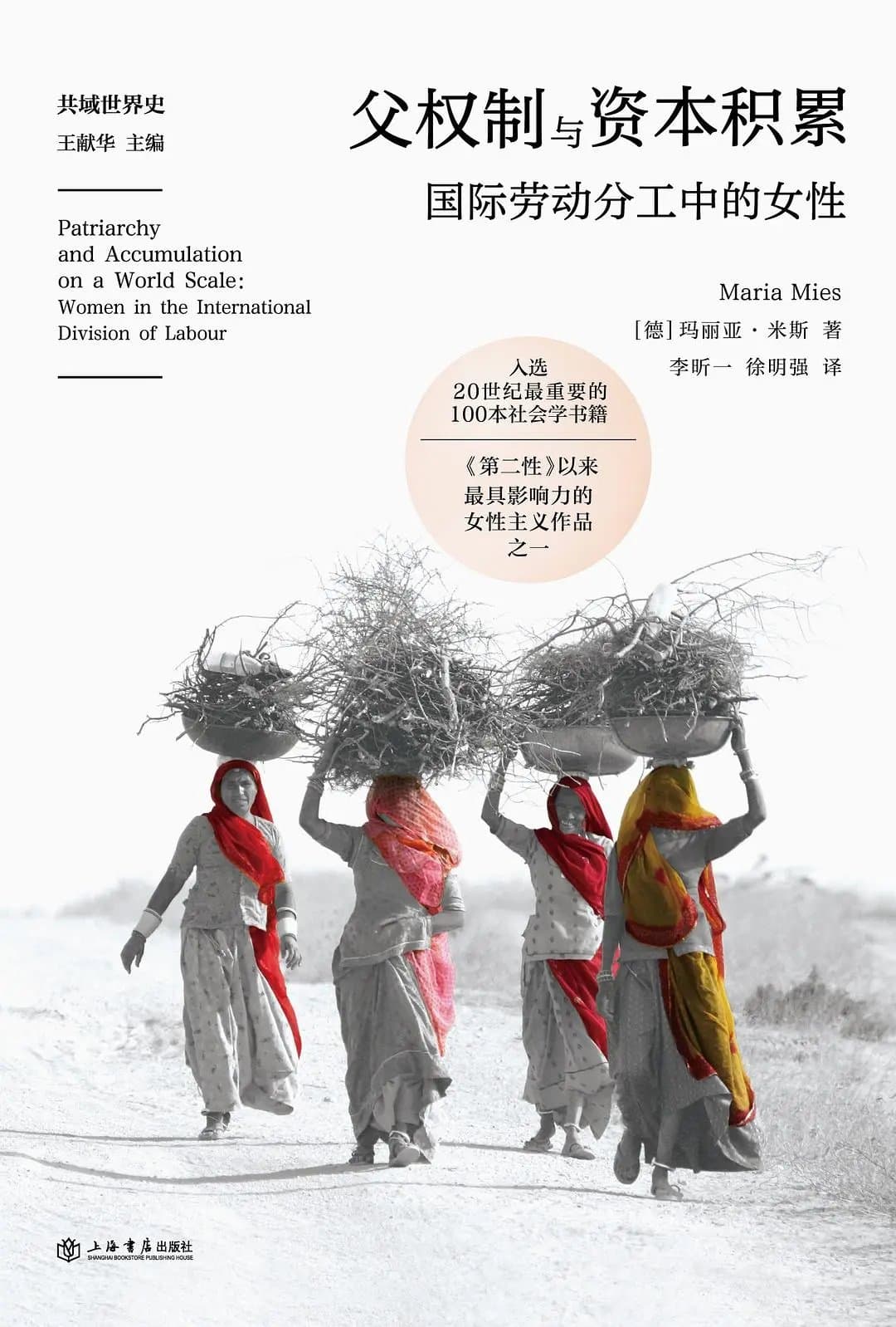 父权制与资本积累 - 书籍网盘资源预览图